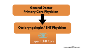 Infographic showing the hierarchy of a general doctor, primary care physician, and ENT physician